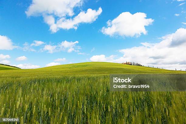 Tuscany Stockfoto und mehr Bilder von Agrarbetrieb - Agrarbetrieb, Anhöhe, Feld