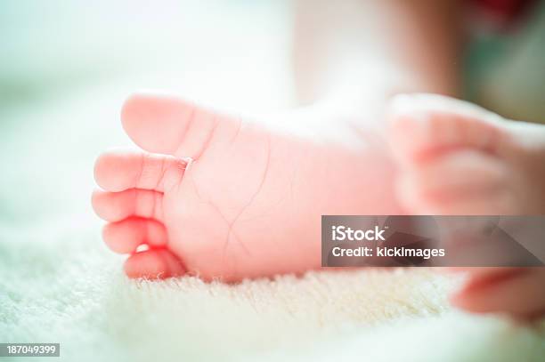 Nahaufnahme Von Baby Füße Stockfoto und mehr Bilder von 0-11 Monate - 0-11 Monate, Baby, Barfuß
