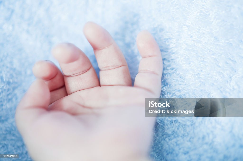 Baby Hand - Lizenzfrei 0-11 Monate Stock-Foto