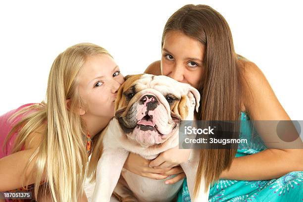 Ragazze Baciare Il Loro Delizioso Bulldog Inglese - Fotografie stock e altre immagini di 10-11 anni - 10-11 anni, 12-13 anni, 14-15 anni