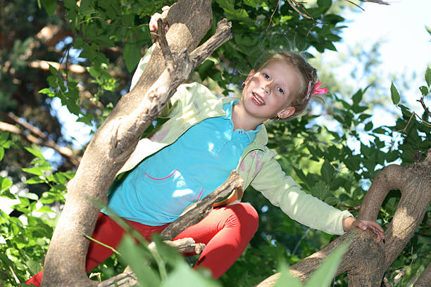 istock Mischievous Little Girl In A Tree 187051380
