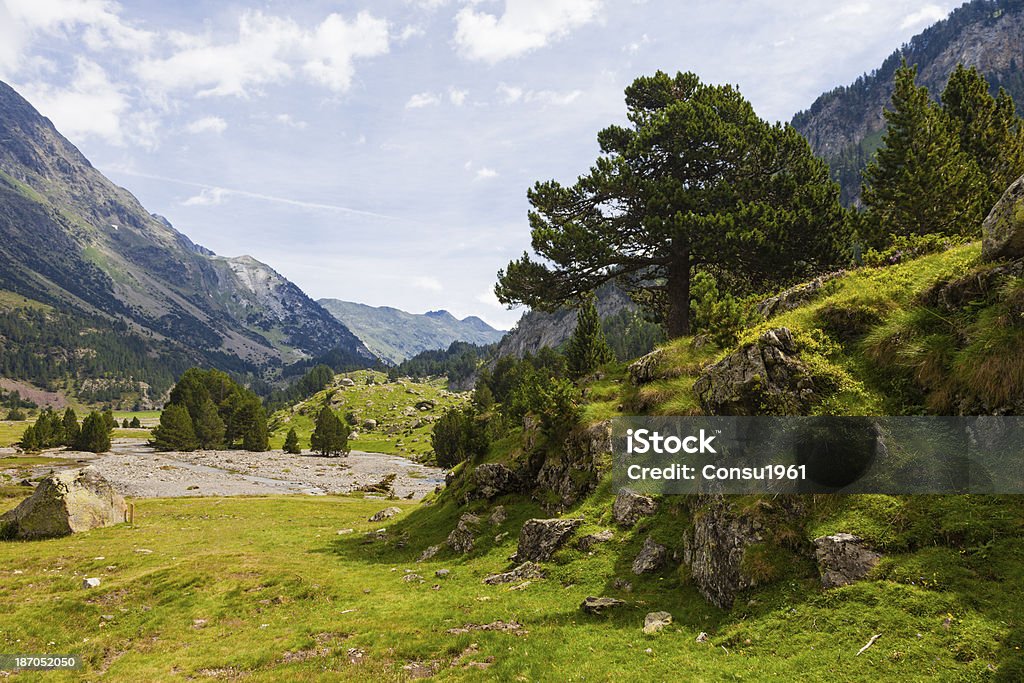 Paisaje - Foto de stock de Aire libre libre de derechos