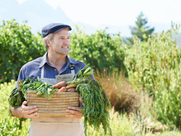 istock All the ingredients he needs to make stew 187052056