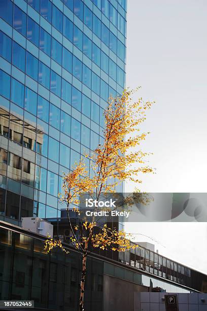Herbst In Der Stadt Stockfoto und mehr Bilder von Ahorn - Ahorn, Architektur, Ast - Pflanzenbestandteil