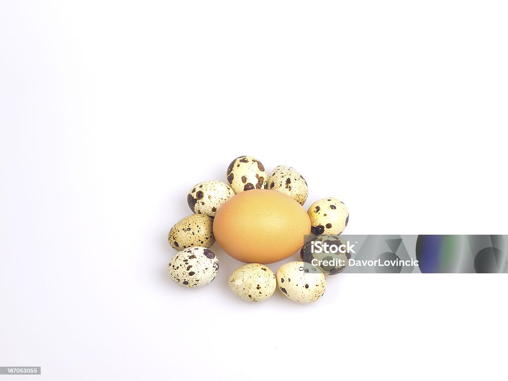 Bege ovos de galinha rodeada por Bubo Codorna ovos em branco. - Royalty-free Branco Foto de stock