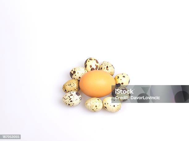 Bege Ovos De Galinha Rodeada Por Bubo Codorna Ovos Em Branco - Fotografias de stock e mais imagens de Branco