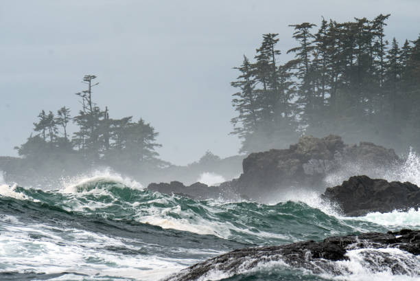 istock Dramatic waves and sea foam envelop Island coastline 1870532701
