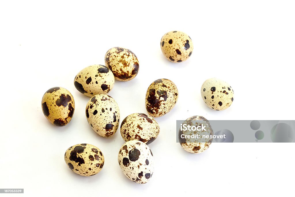 Quail eggs loose on the table Many quail eggs lying on the table spotted Breakfast Stock Photo
