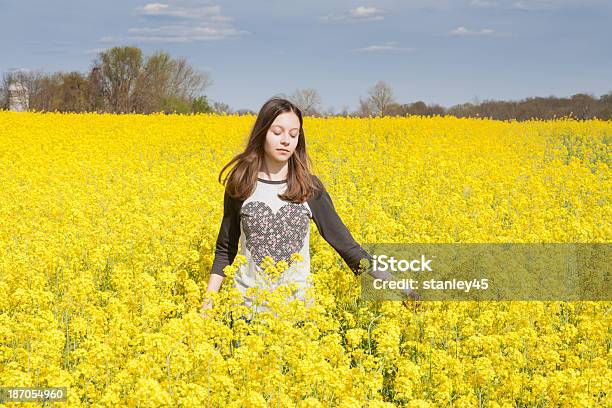 Lato Solitute - zdjęcia stockowe i więcej obrazów Kwiat - Roślina - Kwiat - Roślina, Nastolatek, Żółty