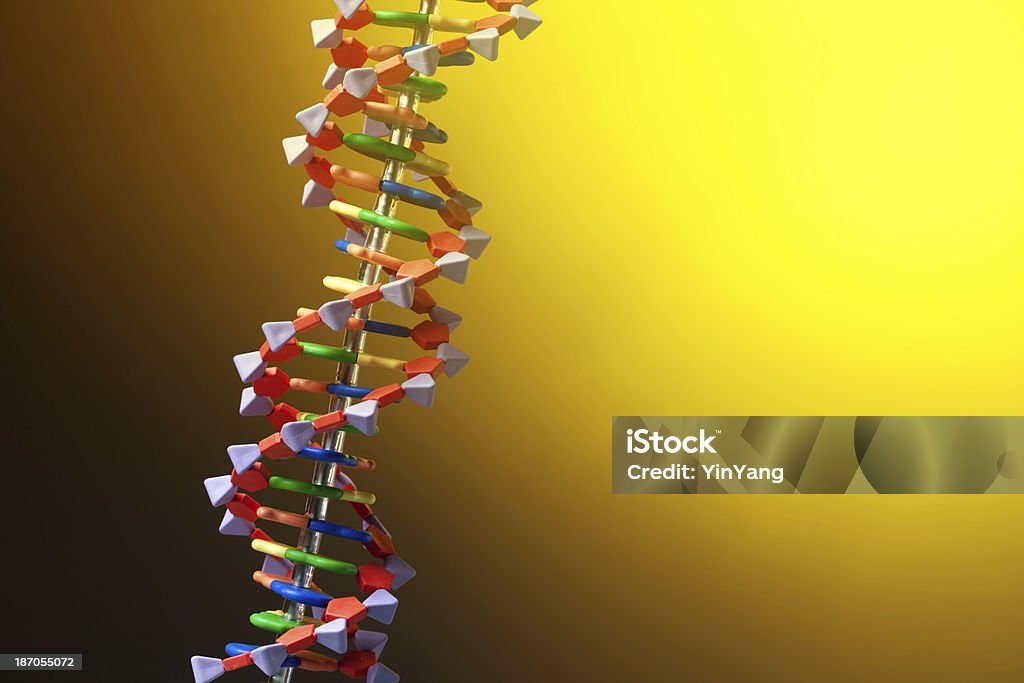 Molécule d'ADN en Double hélice Structure Lueur jaune - Photo de Chaîne d'ADN modélisée libre de droits