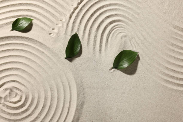 istock Beautiful patterns and leaves on sand, top view. Zen garden 1870554310