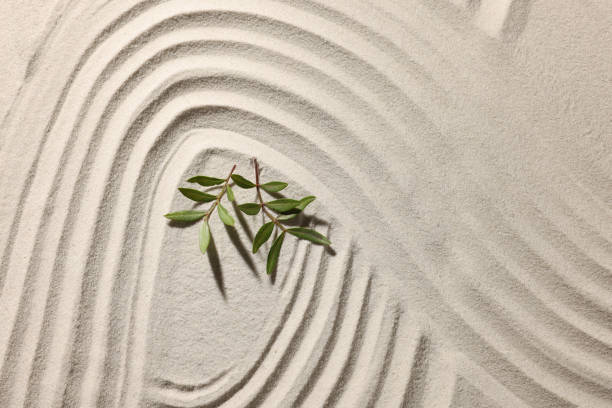 istock Beautiful lines and branches on sand, top view. Zen garden 1870558584