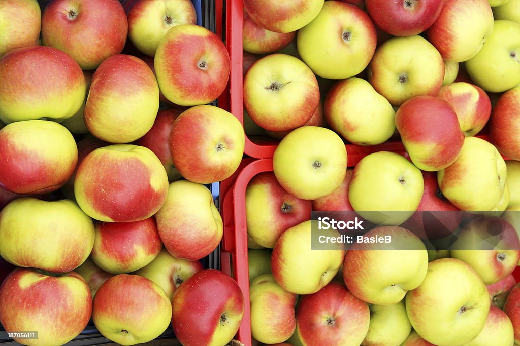 Äpfel in das Feld - Lizenzfrei Apfel Stock-Foto