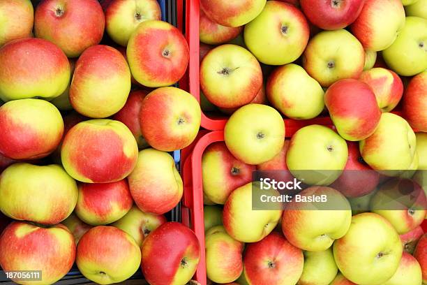 Äpfel In Das Feld Stockfoto und mehr Bilder von Apfel - Apfel, Baum, Entwicklung