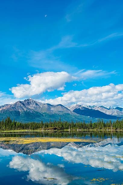 гакона - vibrant color clear sky reflection summer стоковые фото и изображения