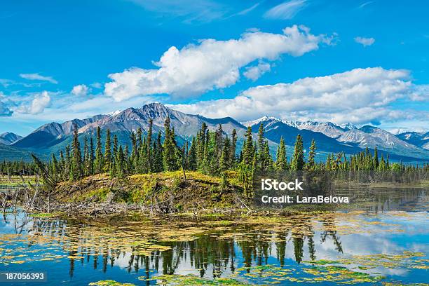 Mount Gakona Stockfoto und mehr Bilder von Alaska - US-Bundesstaat - Alaska - US-Bundesstaat, Alaska Range, Berg