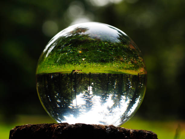 istock crystal ball in a park 1870568534