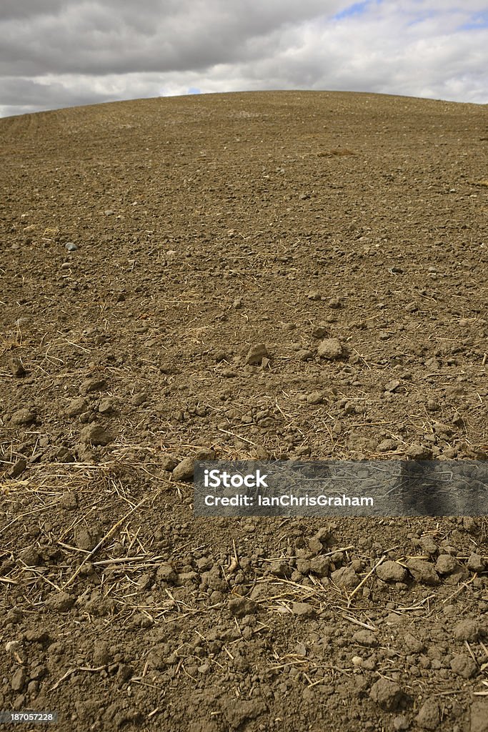 Gli agricoltori campo - Foto stock royalty-free di Campo