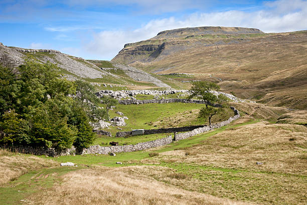 Ingleborough in the Yorkshire Dales A view of the mountain Ingleborough which is one of the Three Peaks in the Yorkshire Dales National Park, North Yorkshire, England. ingleborough stock pictures, royalty-free photos & images