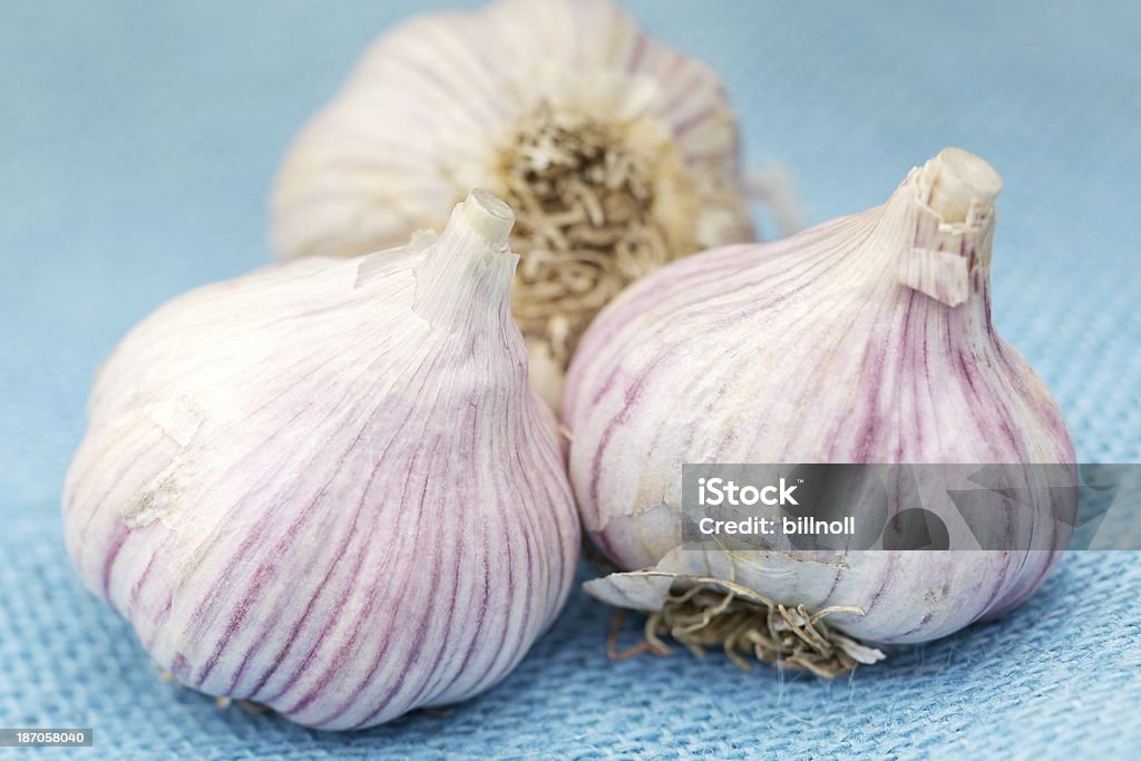 Aglio fresco lampadine su sgrossatura Blu tela grezza - Foto stock royalty-free di Aglio - Alliacee