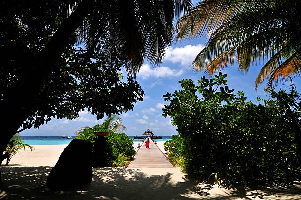 Tropical Island Maldives stock photo