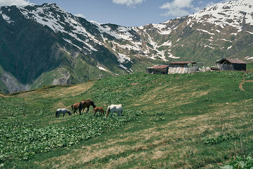 Ushba is one of the most notable peaks of the Caucasus Mountains. It is located in the Svaneti region of Georgia, just south of the border with the Kabardino-Balkaria region of Russia.