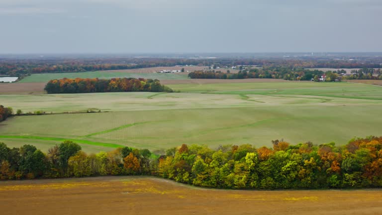 Aerial Shot of Farmland near Opdyke, Illinois on Overcast Day