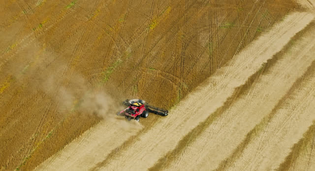 Descending Drone Shot of Combine Harvester on Farmland near Opdyke, Illinois