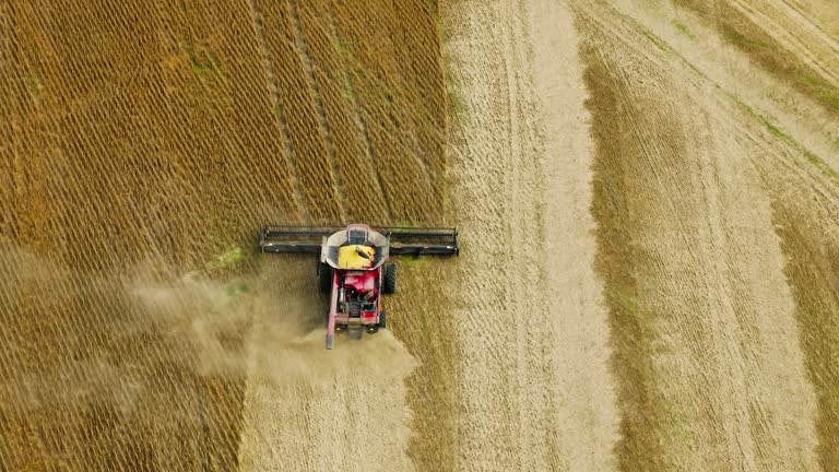 Drone Shot of Combine Harvester on Farmland in Illinois