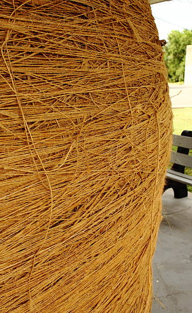 Large Ball of Twine