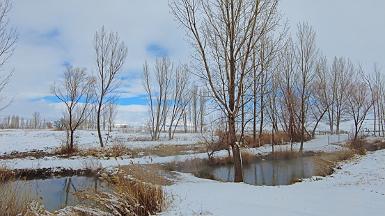 A winter landscape with clouds, snow and trees.