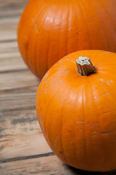 istock Pumpkins against wooden background 187060815