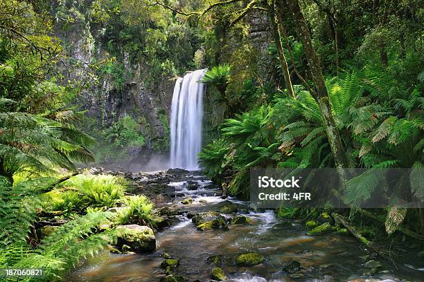 Photo libre de droit de Chutes Hopetoun Falls Australie banque d'images et plus d'images libres de droit de Chutes Hopetoun Falls - Chutes Hopetoun Falls, Asperger, Australie