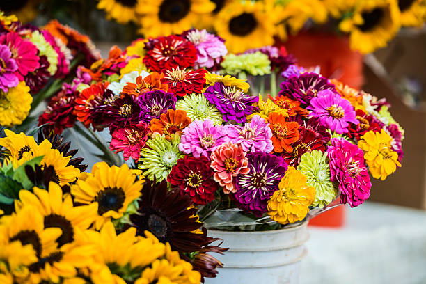 istock Flowers on sale 187060865