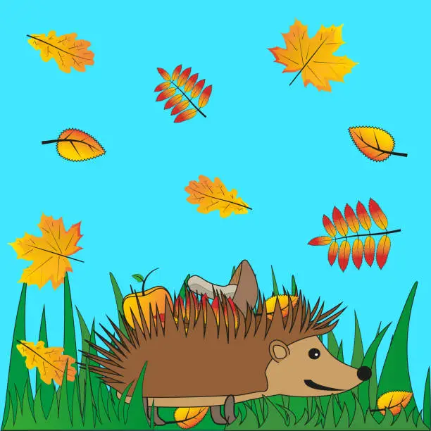 Vector illustration of A hedgehog in the grass and fall leaves, fall