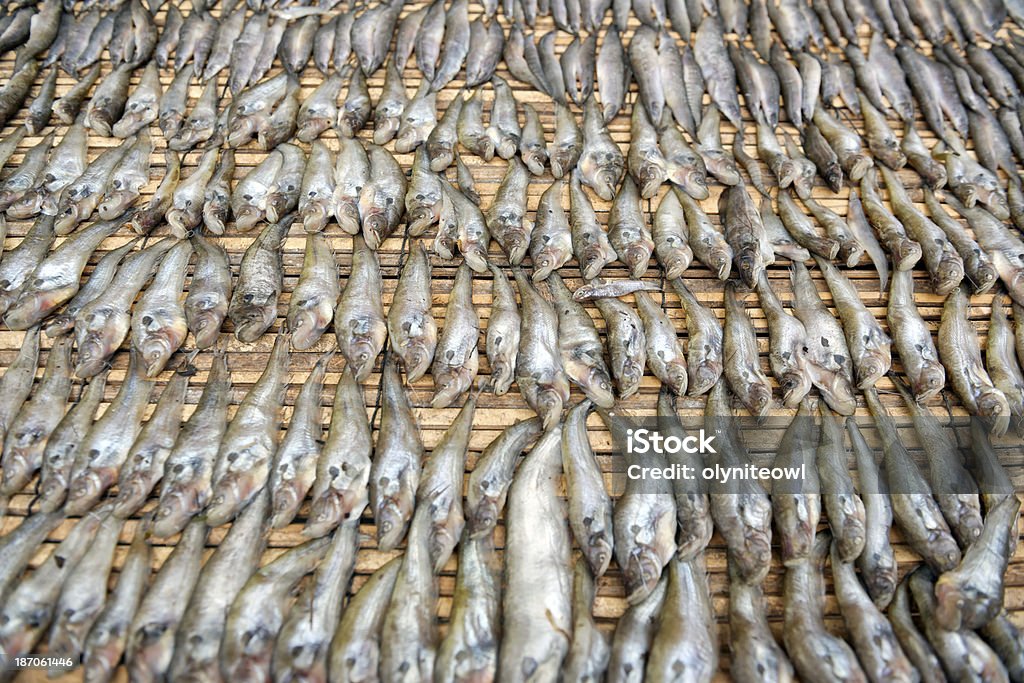 Соленый рыба, изложенным в сухой - Стоковые фото Bago роялти-фри