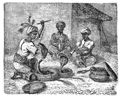 Snake charmers with Indian Cobra snakes (naja naja) in India. Vintage etching circa 19th century.