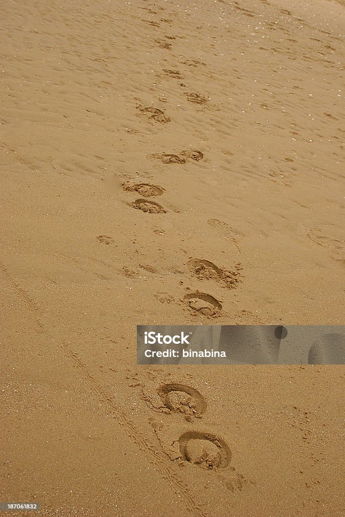 Cavallo cavalcade impronta nella sabbia - Foto stock royalty-free di Cavallo - Equino