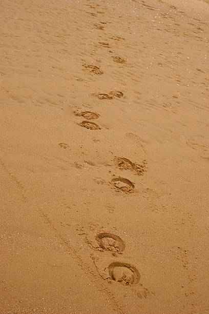 Empty tropical beach at sunrise, color toning applied, Sri Lanka.