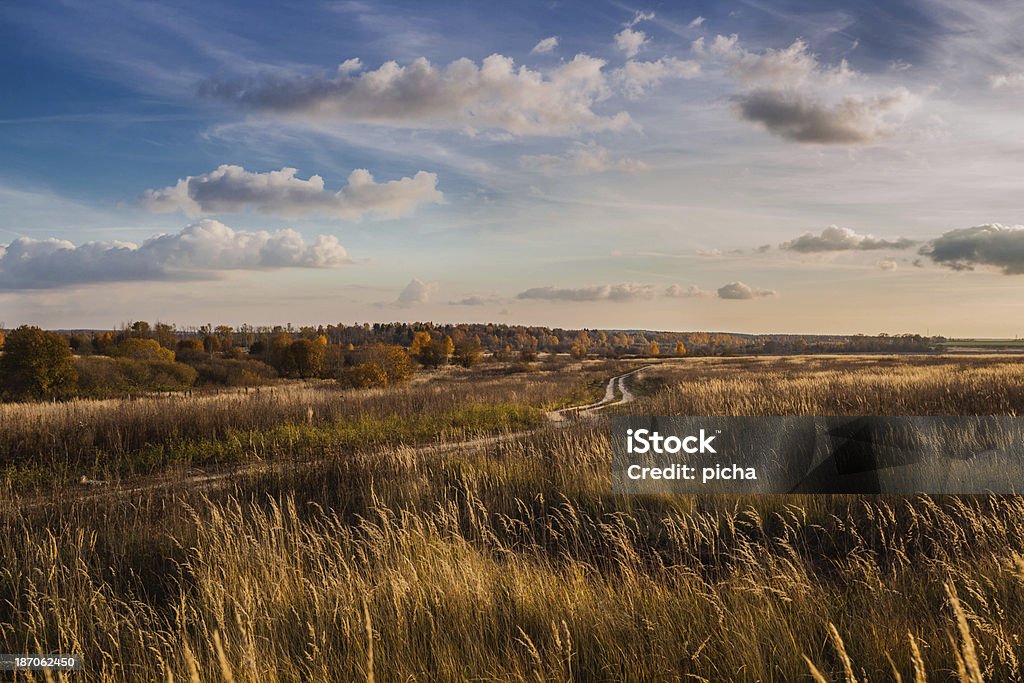 the golden autumn in a field at sunset http://geo.vspk.ru/files/stock/nature.jpg Agricultural Field Stock Photo