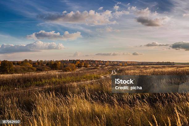 The Golden Autumn In A Field At Sunset Stock Photo - Download Image Now - Agricultural Field, Autumn, Birch Tree