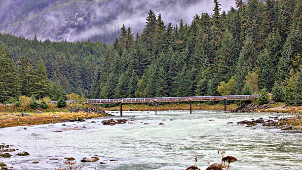 istock Chilkat River Near Haines Alaska 187062723