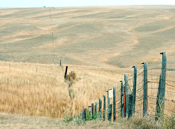 istock Fences dividing grass fields in remote northern Montana 187063061