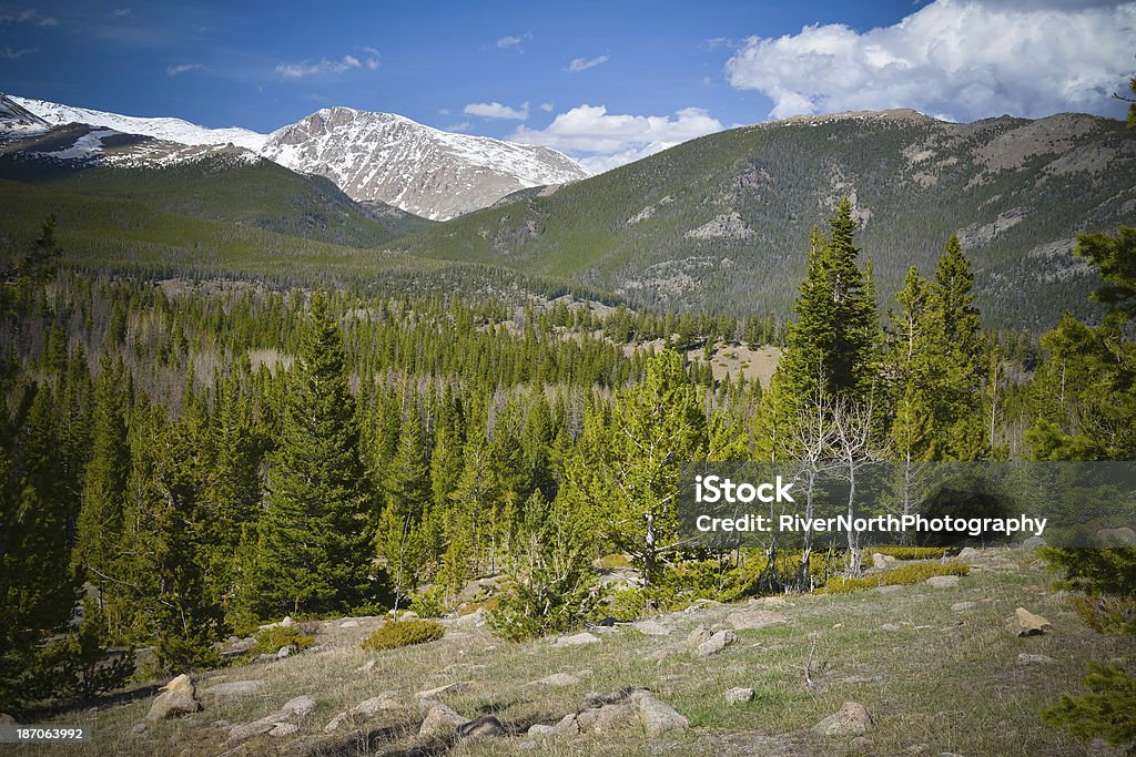 Park Narodowy Rocky Mountain - Zbiór zdjęć royalty-free (Ośnieżony)