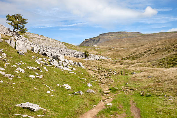 Ingleborough in the Yorkshire Dales A view of the mountain Ingleborough which is one of the Three Peaks in the Yorkshire Dales National Park, North Yorkshire, England. ingleborough stock pictures, royalty-free photos & images