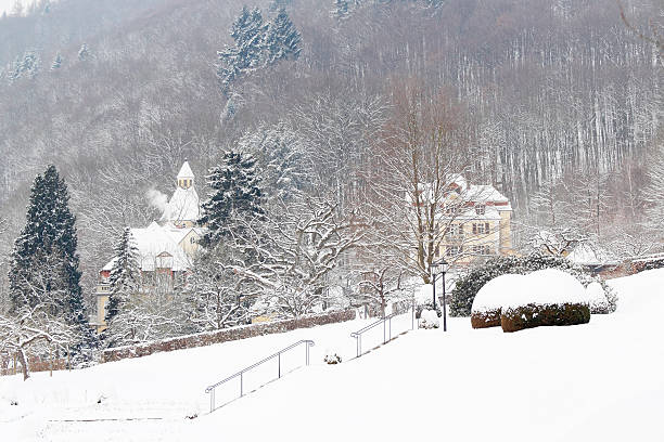 istock park hedge winter bushes walkway steps in snow ice Germany 187065418