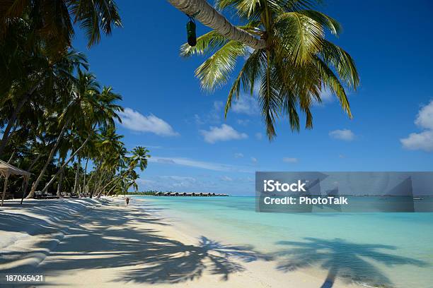 Beautiful Summer Resort Stock Photo - Download Image Now - Mauritius, Beach, Bahamas