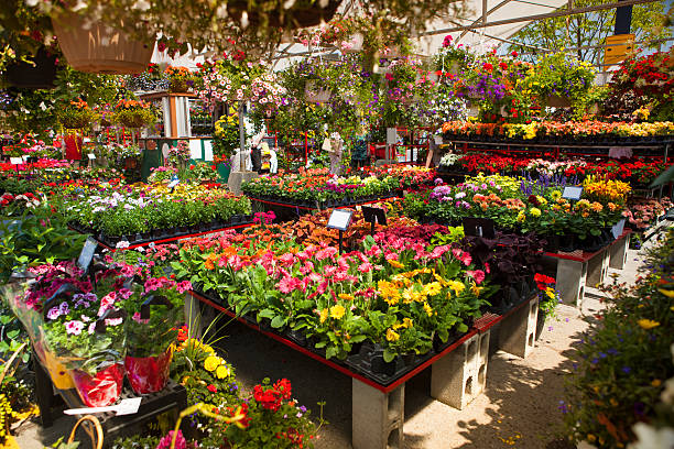 Plants and flowers on display at the Jean Talon Market in Montreal Quebec Canada