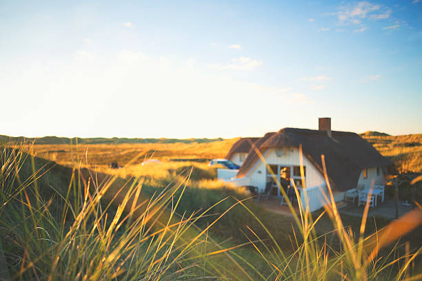View of the dune landscape of Egfmond aan Zee in the evening