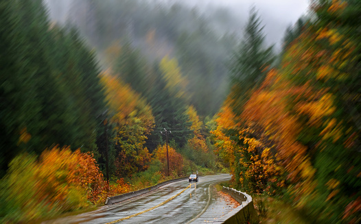 In a driving rain storm vivid autumn colors surround a single motor vehicle on Highway 4, British Columbia